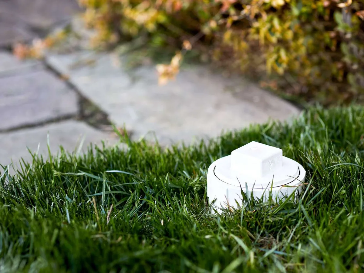Capped sewer cleanout sitting in a lawn beside a paver walkway
